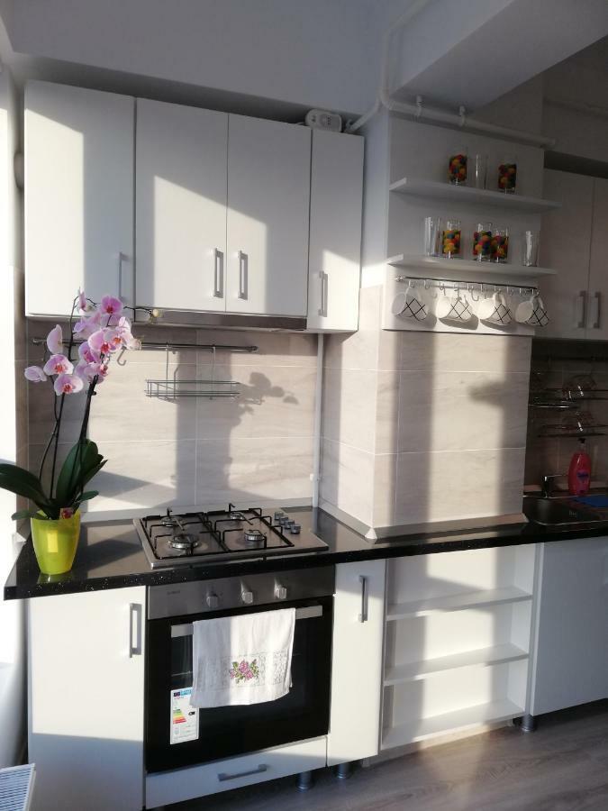 Kolonaki Domus Apartment ياش المظهر الخارجي الصورة